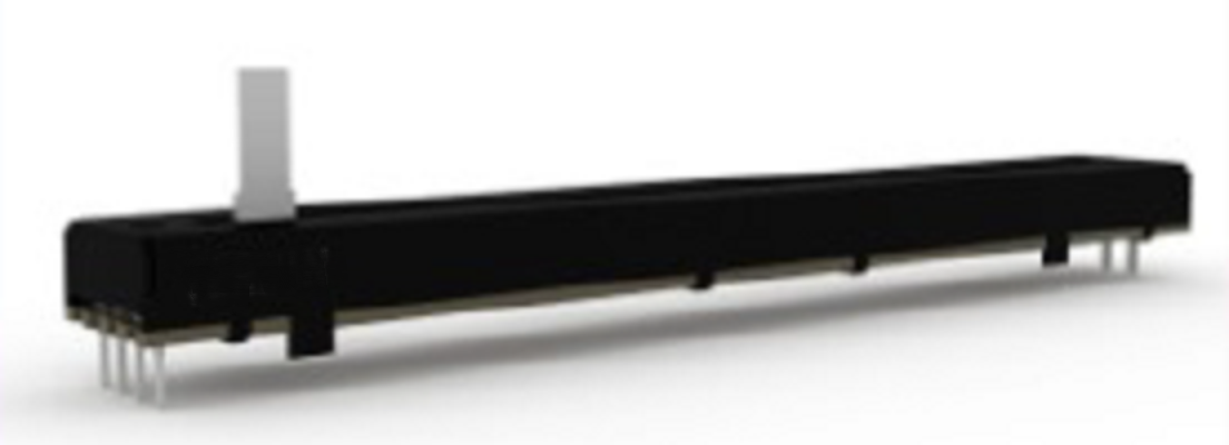 C10081G