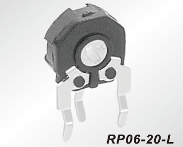 RP06-20-L