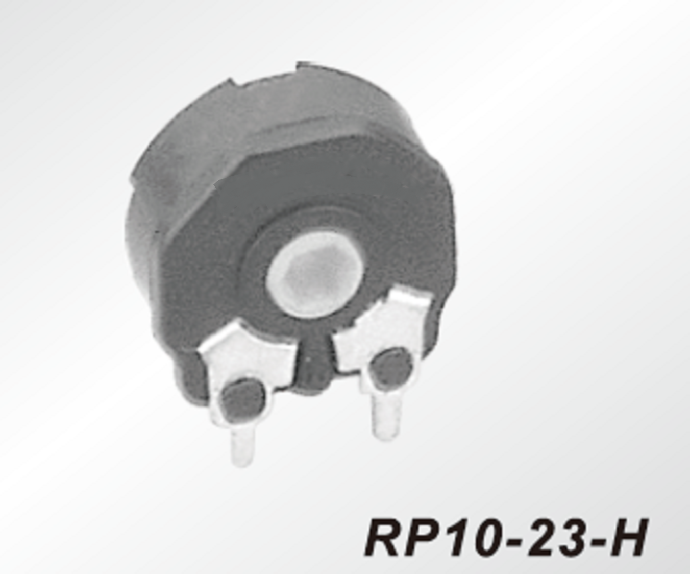 RP10-23-H