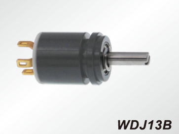 WDJ13B
